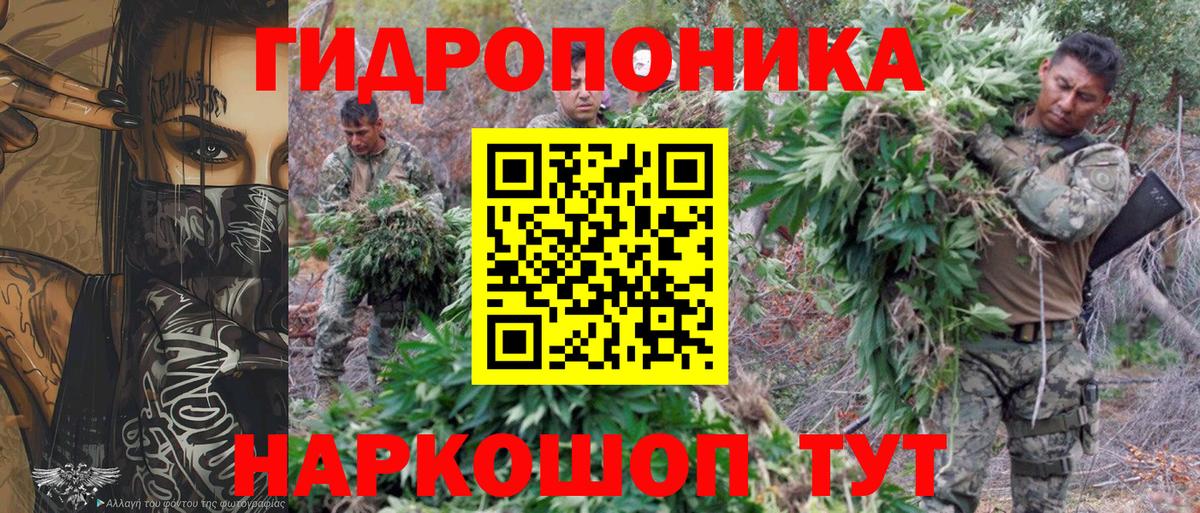 Бошки марихуана план  Канабис индика  Вход с VPN  Кумертау  Конопля Bruce Banner 